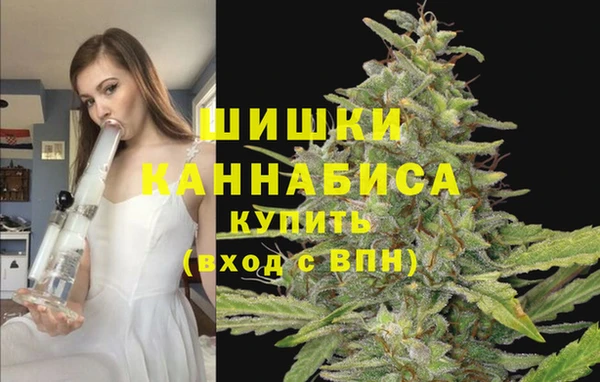 стаф Карталы