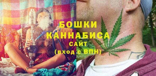 соль ск Касимов