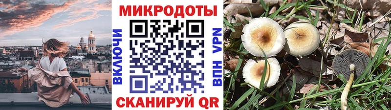 Купить закладки Среднеколымск Псилоцибиновые грибы Cubensis