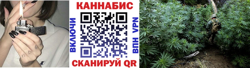Шишки марихуана THC 21%  Купить где  Среднеколымск 